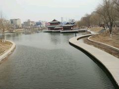-雁滩公园