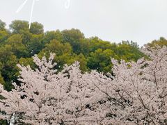 -黄兴公园