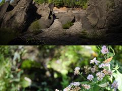 -峡谷浮石林景区