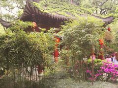 -杭州黄龙洞