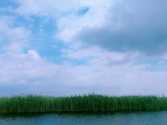 -苏州太湖湖滨国家湿地公园