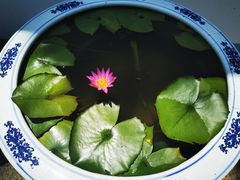 -龙华寺