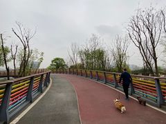 -府河摄影公园
