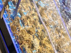 -锅儿欢海鲜火锅烤肉自助餐(东港凯虹店)