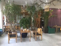 -花间禅净·瑜伽