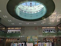-金陵图书馆