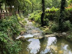 -素山寺森林公园