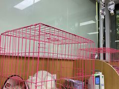 -联合动物医院(光谷诊疗中心)