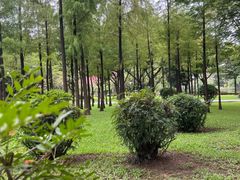 -晓港公园