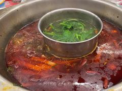 -金鼎雪山牦牛杂火锅(理县总店)