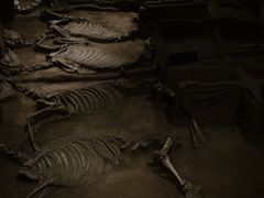 -洛阳周王城天子驾六博物馆