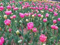 -长春公园(普阳街道)