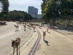 -常州武进九洲喜来登酒店