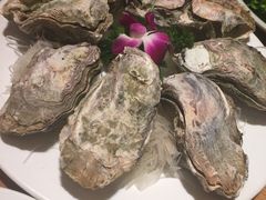 生蚝-萨拉伯尔水源素问店·韩国宫廷料理(人民路店)