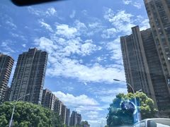 -喜马拉雅森HIMALAYAN FOREST