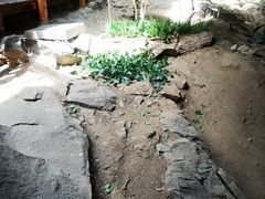 -中国第四纪冰川遗迹陈列馆