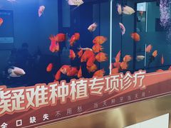 -牙博士口腔品牌连锁(杨浦店)