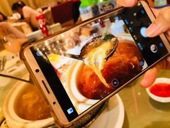 -绿岛国际酒店·海鲜酒楼(八七路店)