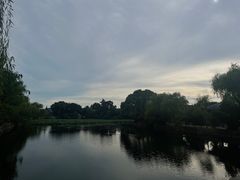 -无锡蠡湖国家湿地公园-蠡园