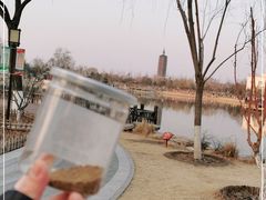 -西海子公园