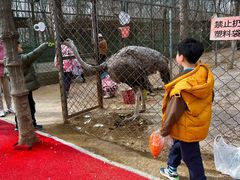 -草根堂农场