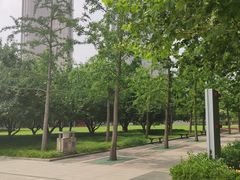 -大望京公园
