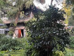 -大妙火锅·非物质文化遗产(东湖公园店)