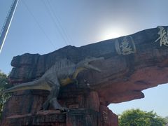 -上海海湾国家森林公园