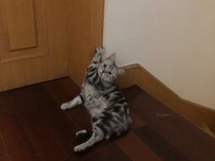 -辛香汇(大华第一坊店)