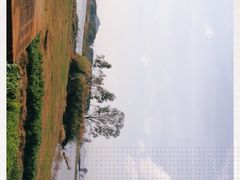 -夏屿湖畔.落日湖景餐厅(普者黑景区店)