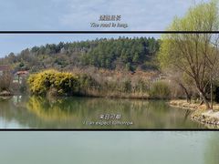 -白塔湖国家湿地公园
