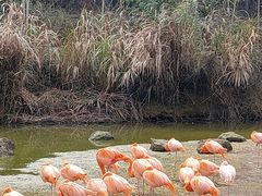 -千岛湖东南湖区