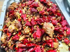 -四川农业大学(雅安校区)