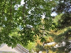 -潭柘寺景区