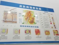 -荟草堂痘肌修护中心