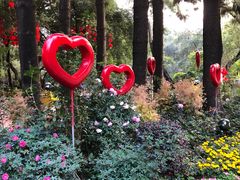 -人民公园(罗湖区)