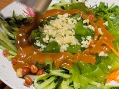 东北大拉皮-姐弟小东北(瑞景商业广场店)