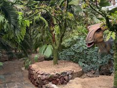 -呀路古热带植物园