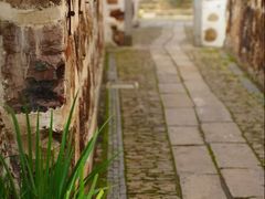 -长白岛森林公园