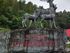-长沙黑麋峰国家森林公园