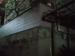 -约翰·菲茨杰拉德·肯尼迪国际机场