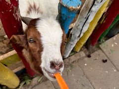 -西部长青自然儿童乐园