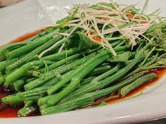 -四世同堂·京菜·烤鸭(双井店)