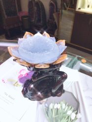 -水晶世家(建国店)
