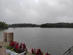 -昆山城市生态森林公园