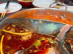 -蜀滋香鲜鱼美蛙火锅(339店)