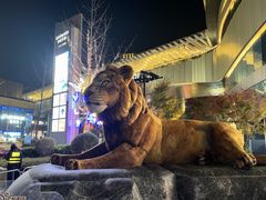-瑞虹新天地月亮湾