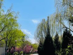 -望湖公园