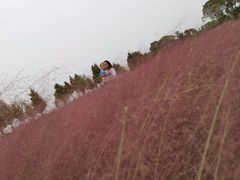 -军山湖云水间水上餐厅(进贤店)