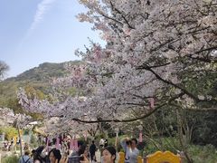 -杭州少年儿童公园